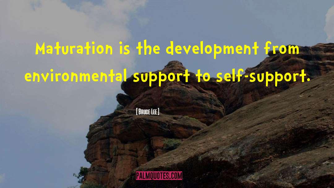 Self Support quotes by Bruce Lee