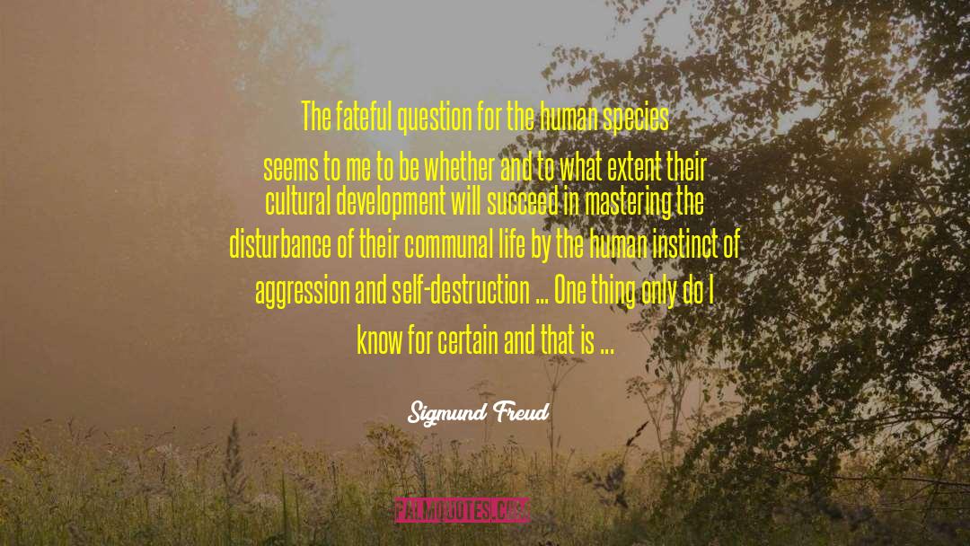 Self Support quotes by Sigmund Freud