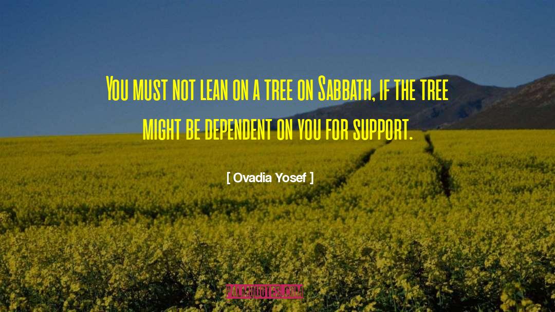 Self Support quotes by Ovadia Yosef