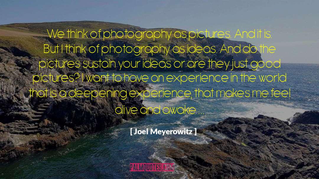 Self Sustaining quotes by Joel Meyerowitz