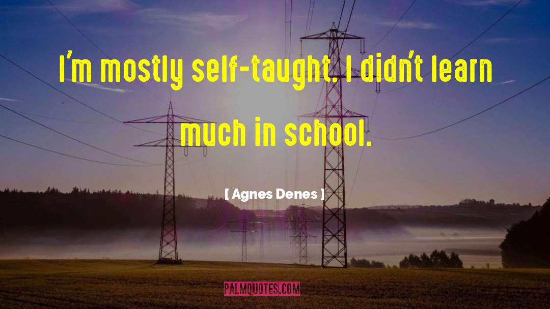 Self Taught quotes by Agnes Denes