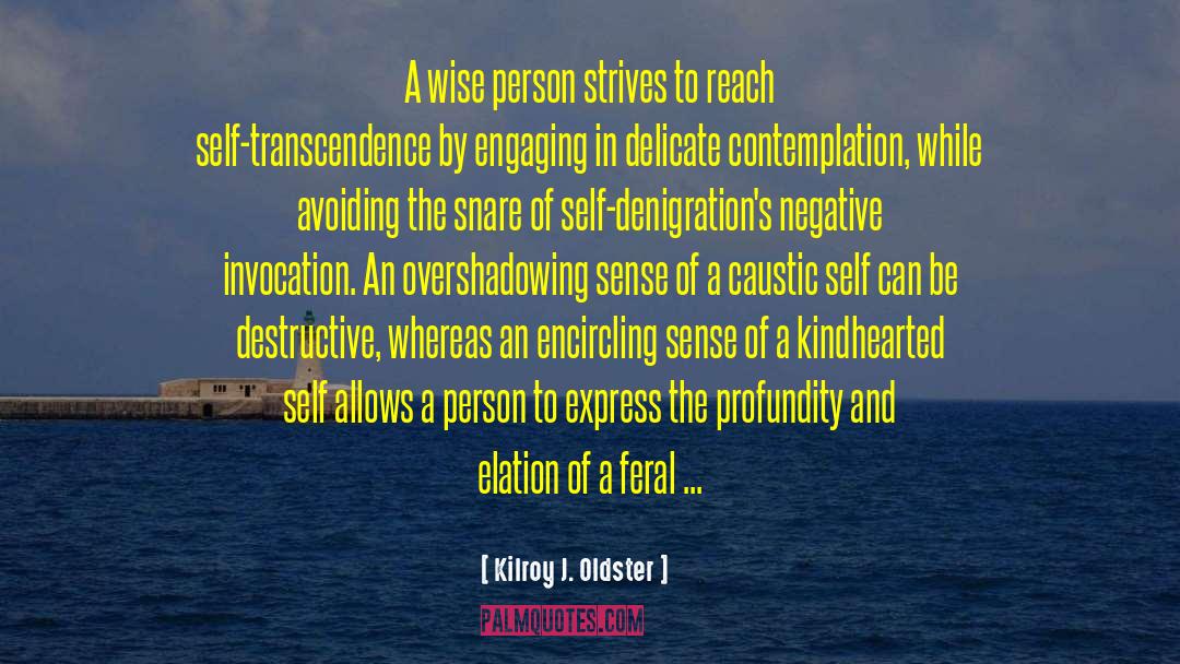 Self Transcendence quotes by Kilroy J. Oldster