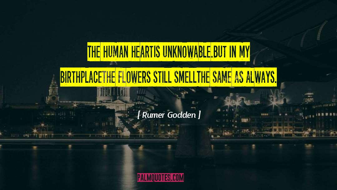 Self Unknowable quotes by Rumer Godden