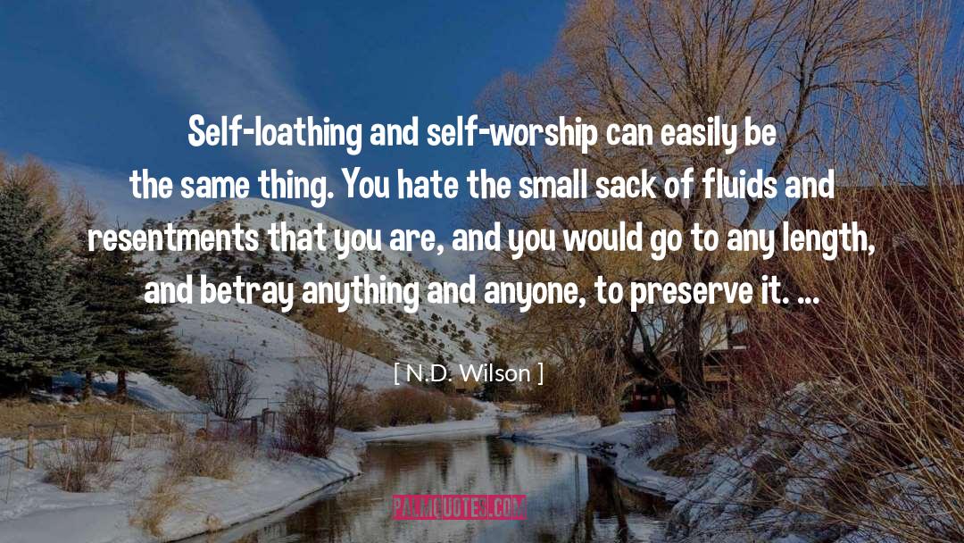 Self Worship quotes by N.D. Wilson