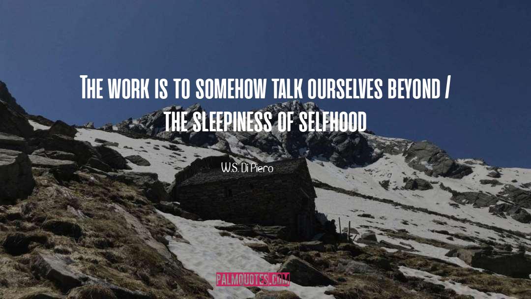 Selfhood quotes by W.S. Di Piero
