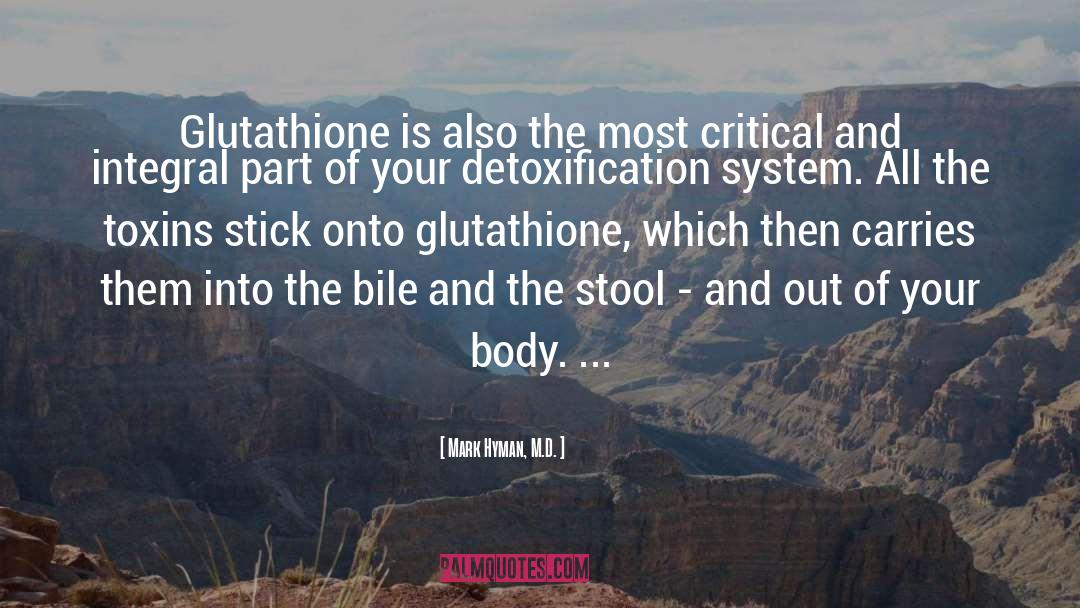 Selfie Sticks quotes by Mark Hyman, M.D.