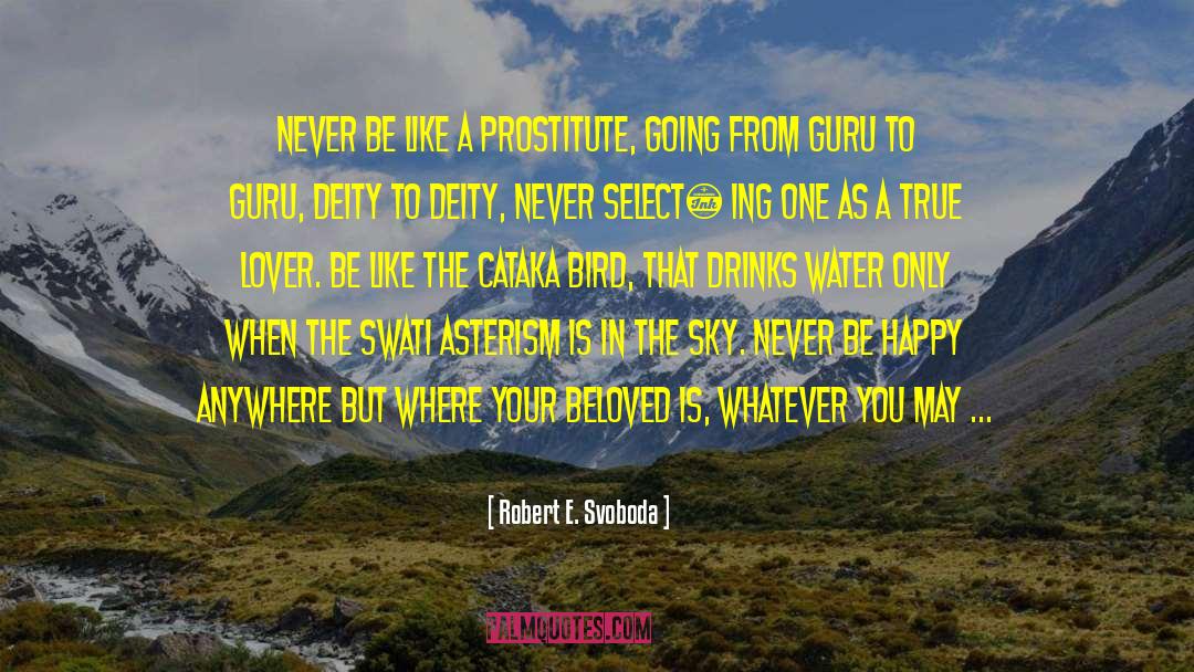 Selfish Love quotes by Robert E. Svoboda