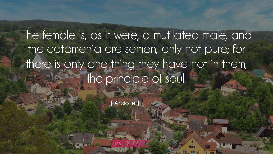 Semen quotes by Aristotle.