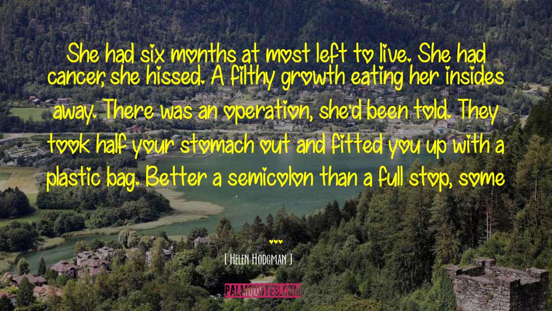 Semicolon quotes by Helen Hodgman