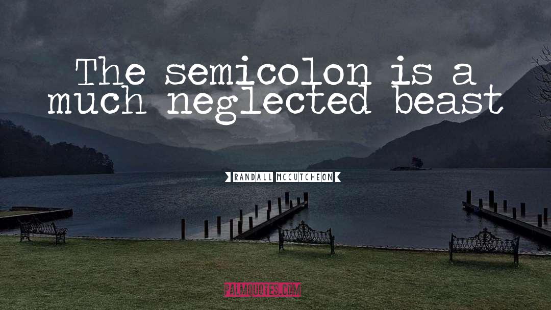 Semicolon quotes by Randall McCutcheon