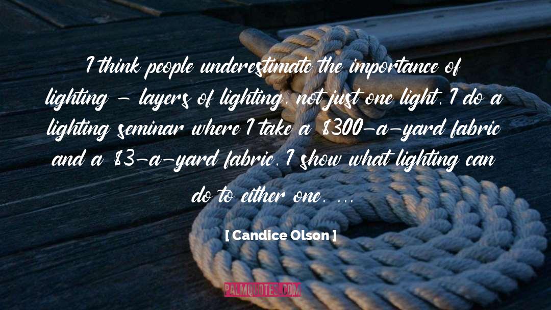 Seminar quotes by Candice Olson