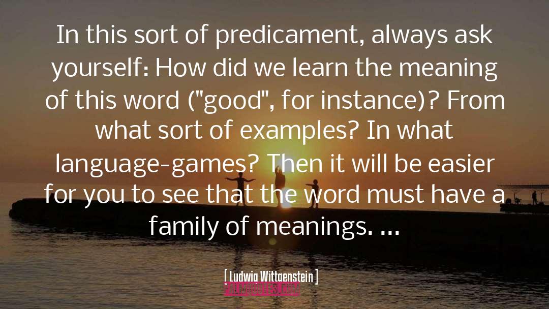 Semiotics quotes by Ludwig Wittgenstein