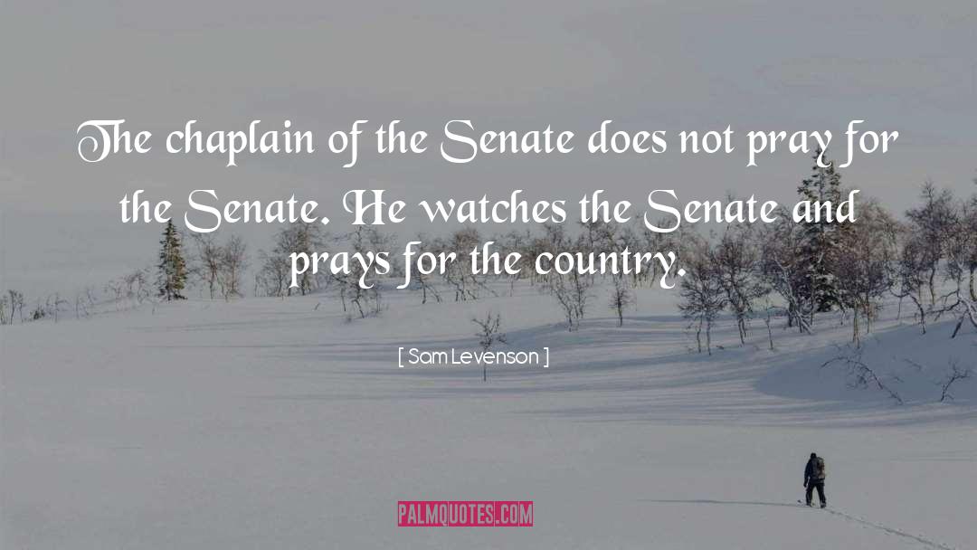 Senate quotes by Sam Levenson