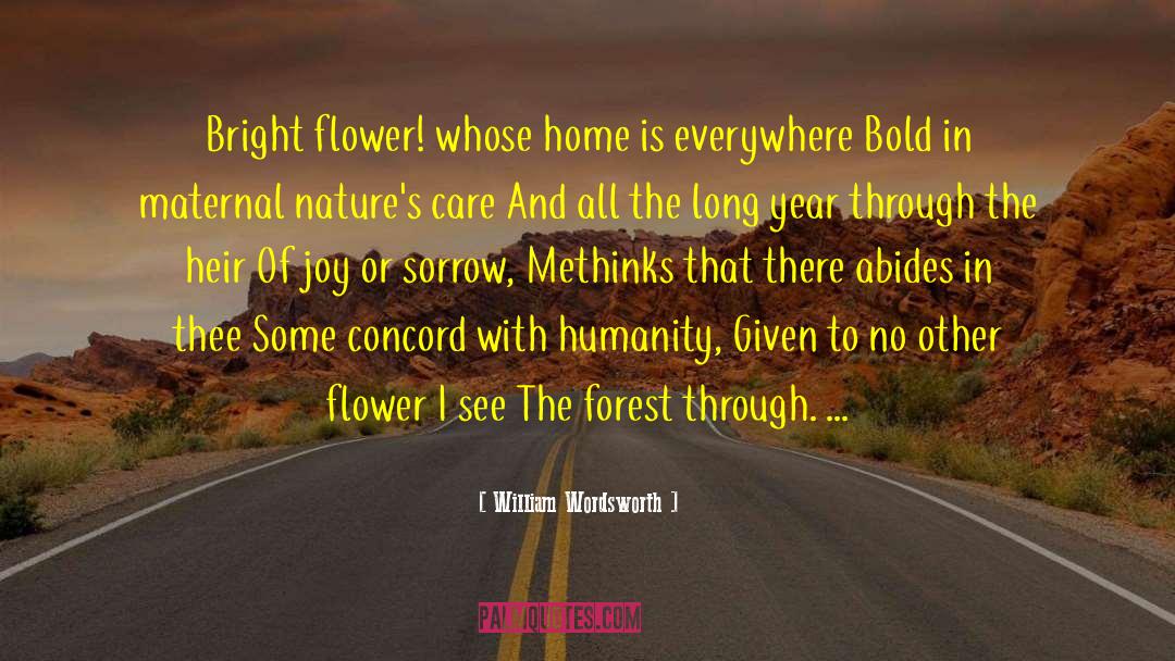 Send Flower quotes by William Wordsworth