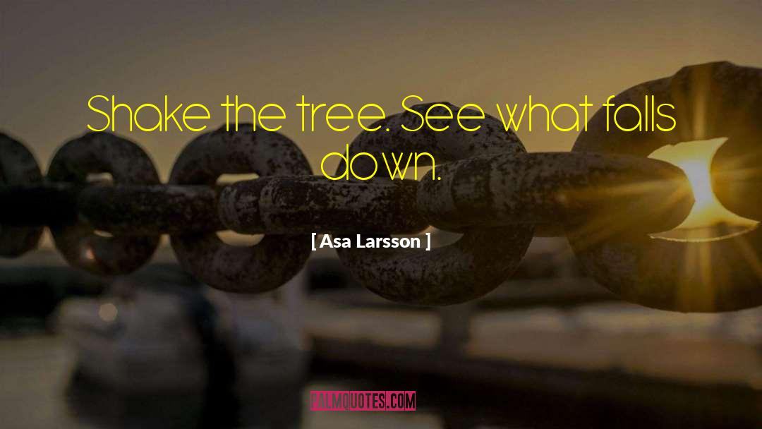 Seneca Falls quotes by Asa Larsson