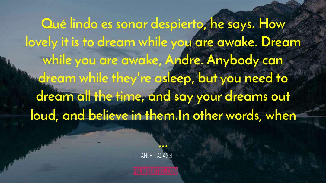 Senenin Es quotes by Andre Agassi
