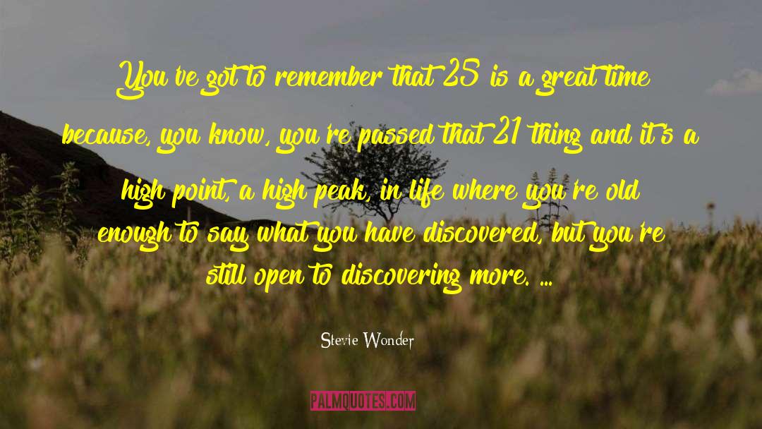 Sengarc 21 quotes by Stevie Wonder