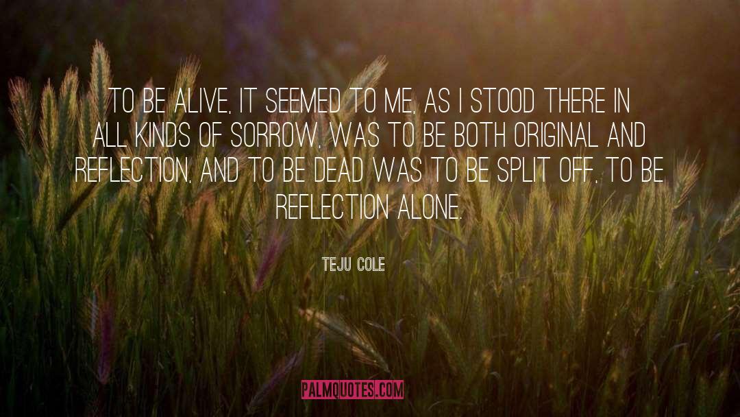 Senior Dead quotes by Teju Cole