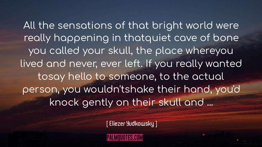 Sensations quotes by Eliezer Yudkowsky