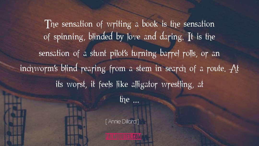 Sensations quotes by Annie Dillard