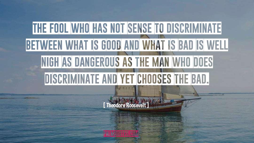 Sense And Sensibility quotes by Theodore Roosevelt