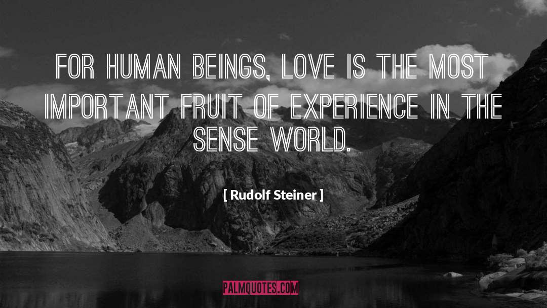 Sense Of Identity quotes by Rudolf Steiner