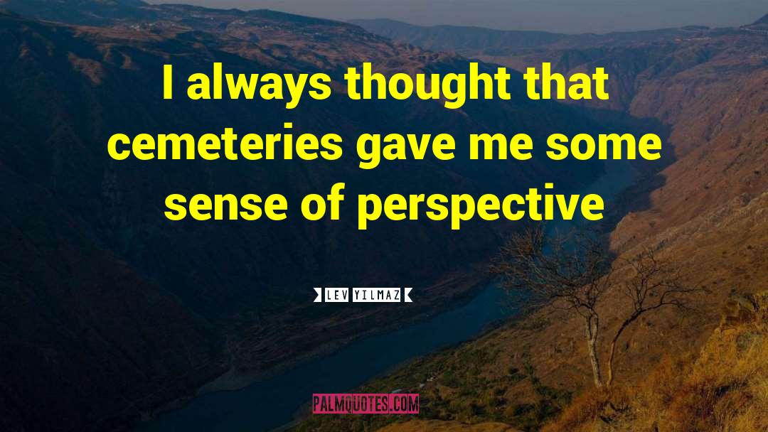 Sense Of Perspective quotes by Lev Yilmaz