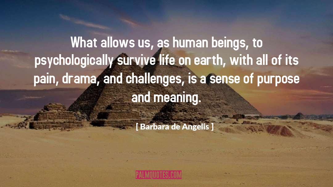 Sense Of Purpose quotes by Barbara De Angelis