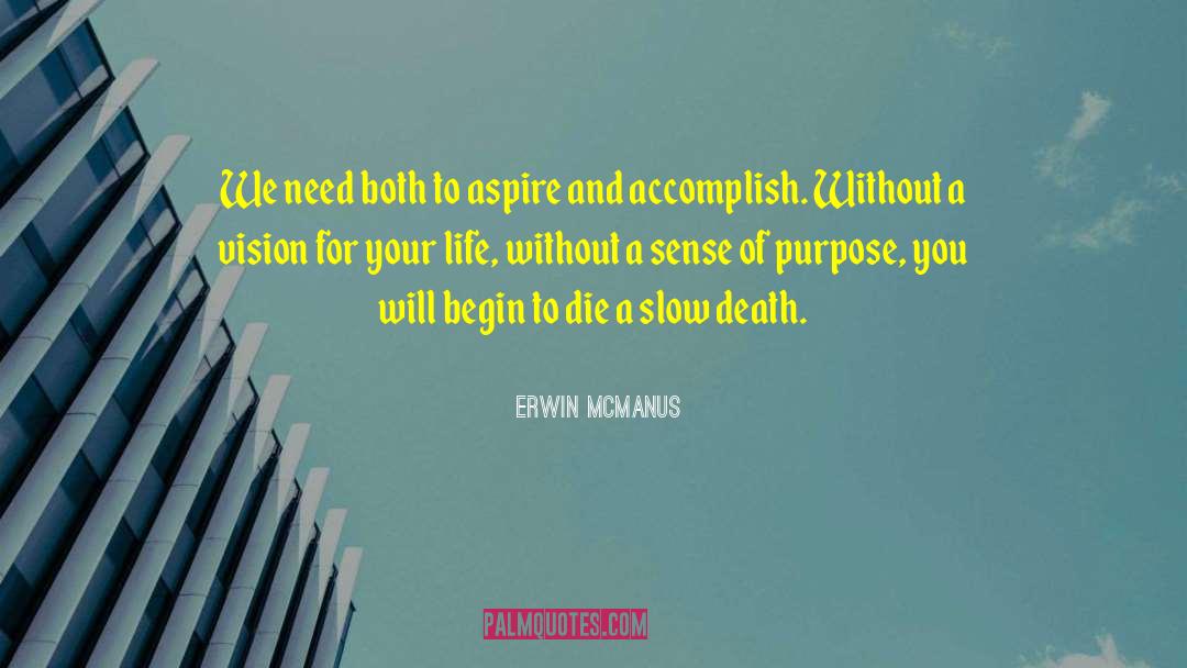 Sense Of Purpose quotes by Erwin McManus