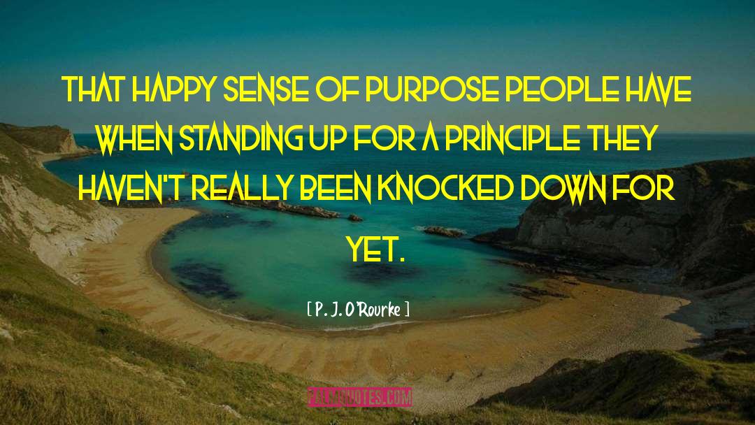Sense Of Purpose quotes by P. J. O'Rourke