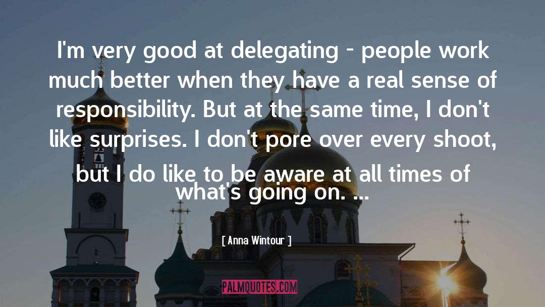 Sense Of Responsibility quotes by Anna Wintour