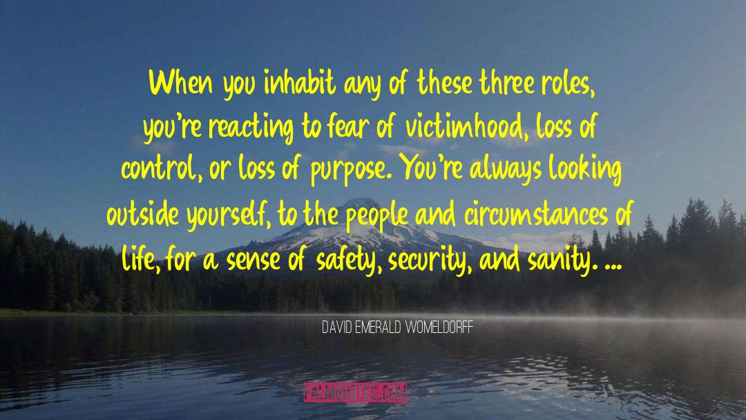 Sense Of Safety quotes by David Emerald Womeldorff