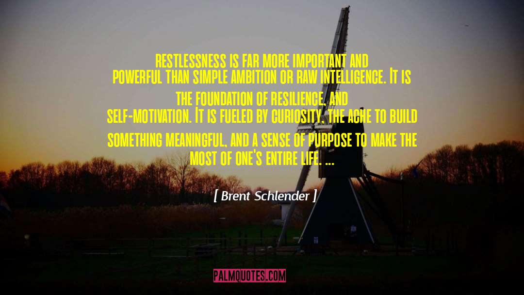 Sense Of Safety quotes by Brent Schlender