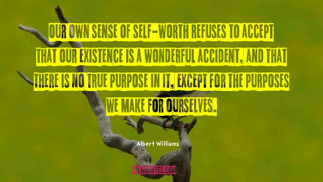 Sense Of Self quotes by Albert Williams