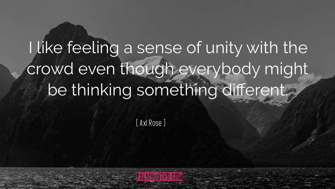 Sense Of Unity quotes by Axl Rose