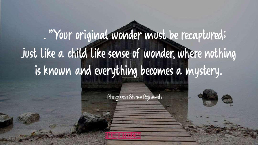 Sense Of Wonder quotes by Bhagwan Shree Rajneesh