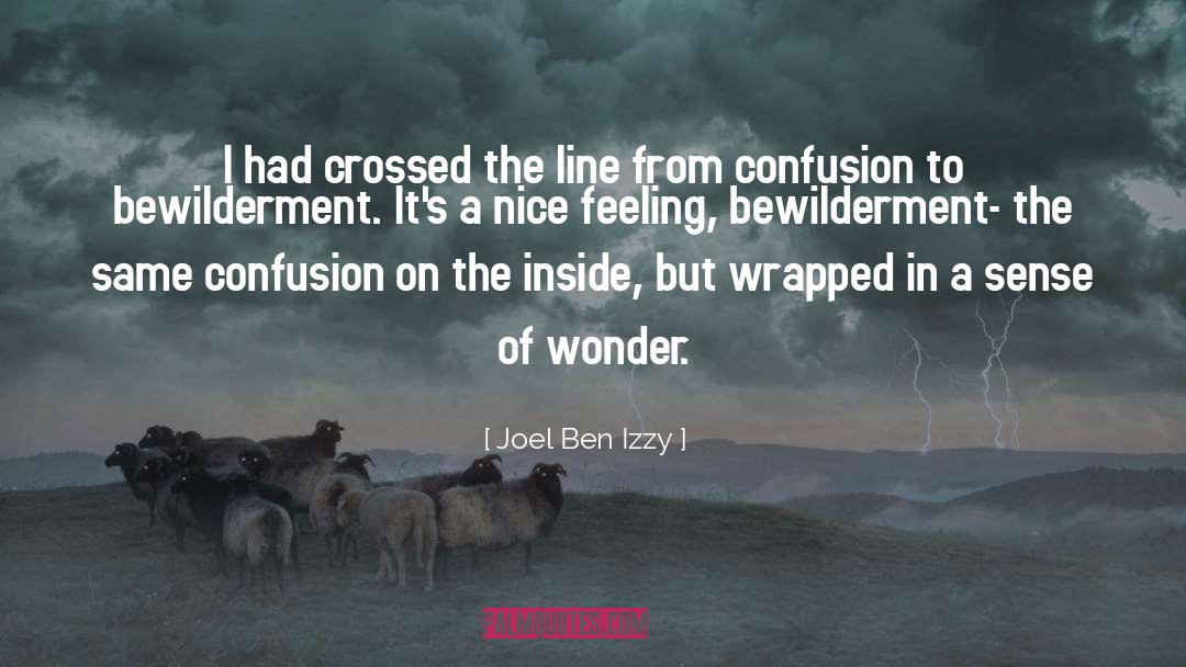 Sense Of Wonder quotes by Joel Ben Izzy