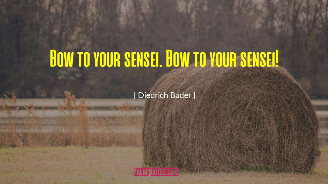 Sensei quotes by Diedrich Bader