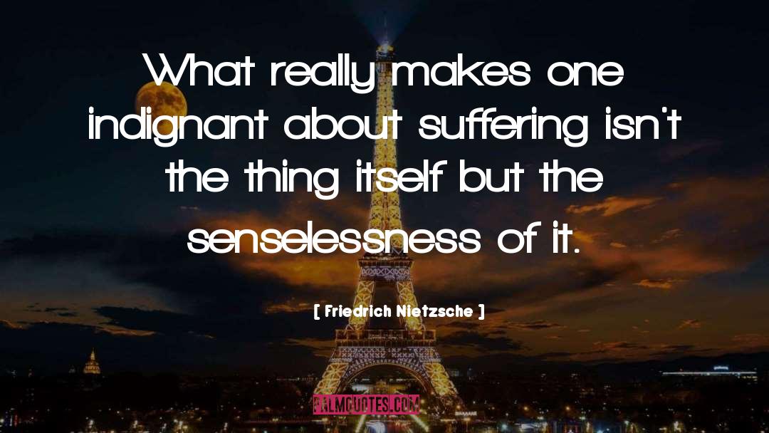 Senselessness quotes by Friedrich Nietzsche
