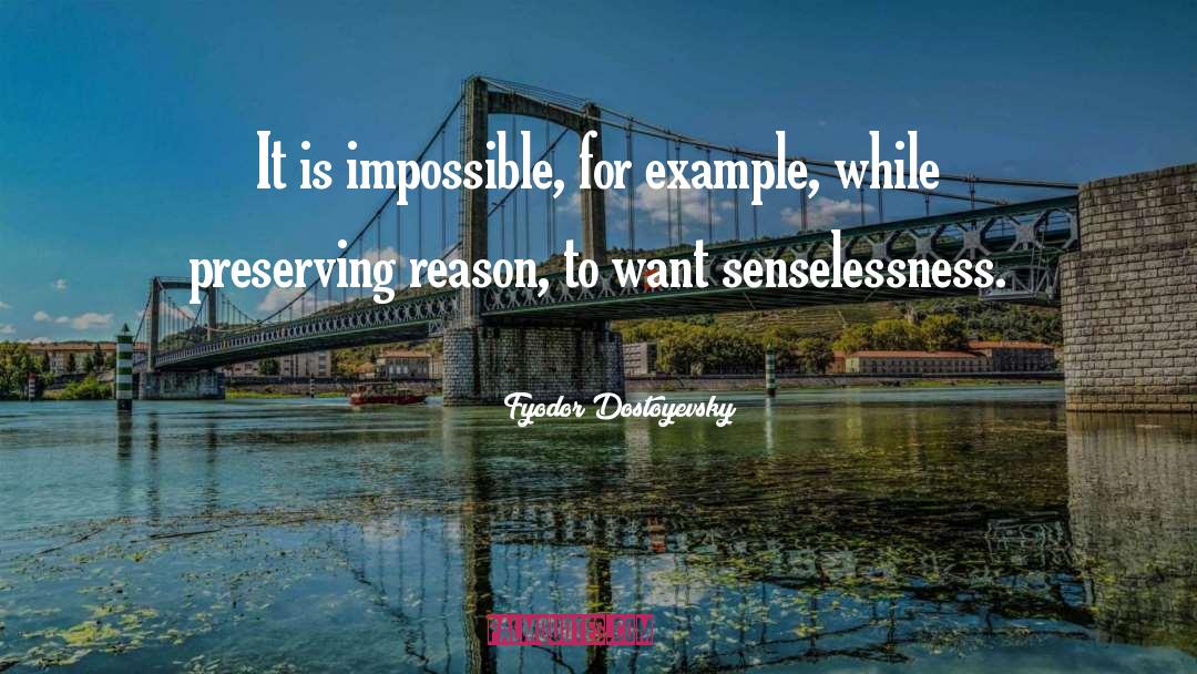 Senselessness quotes by Fyodor Dostoyevsky