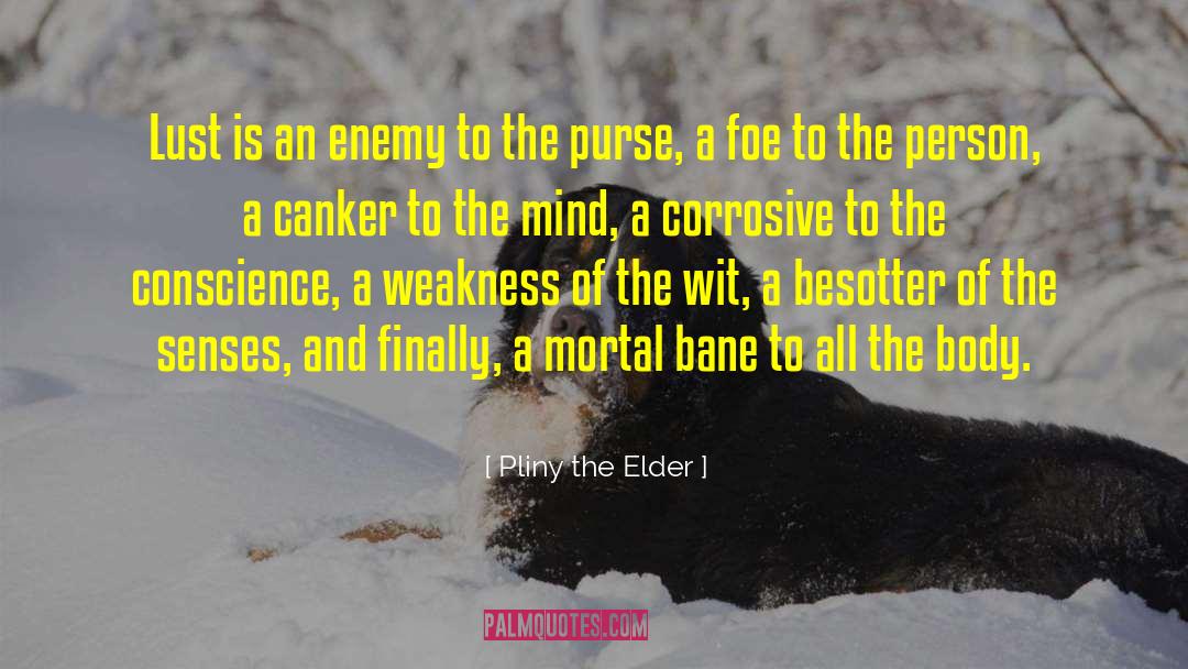 Senses Fivesenses quotes by Pliny The Elder