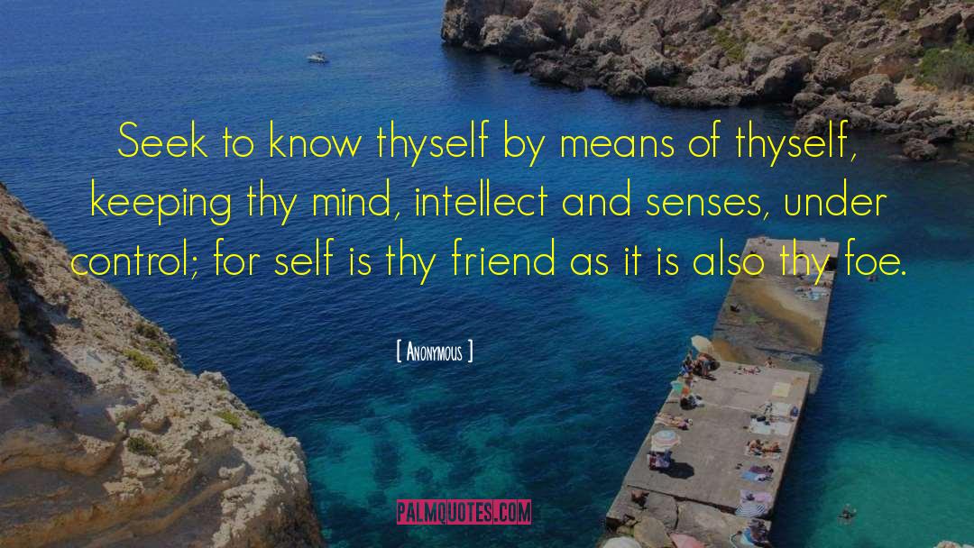 Senses Fivesenses quotes by Anonymous
