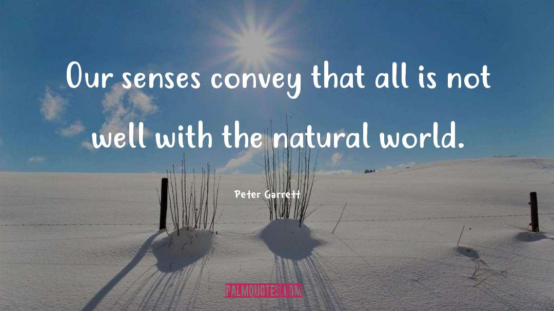 Senses quotes by Peter Garrett