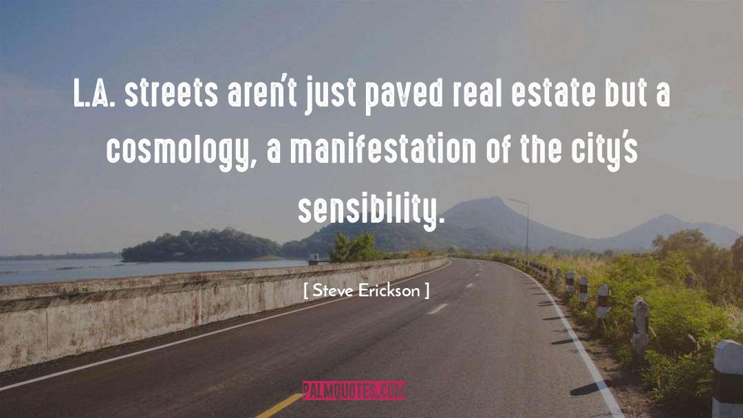 Sensibility quotes by Steve Erickson