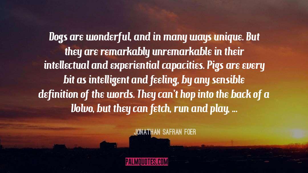 Sensible quotes by Jonathan Safran Foer