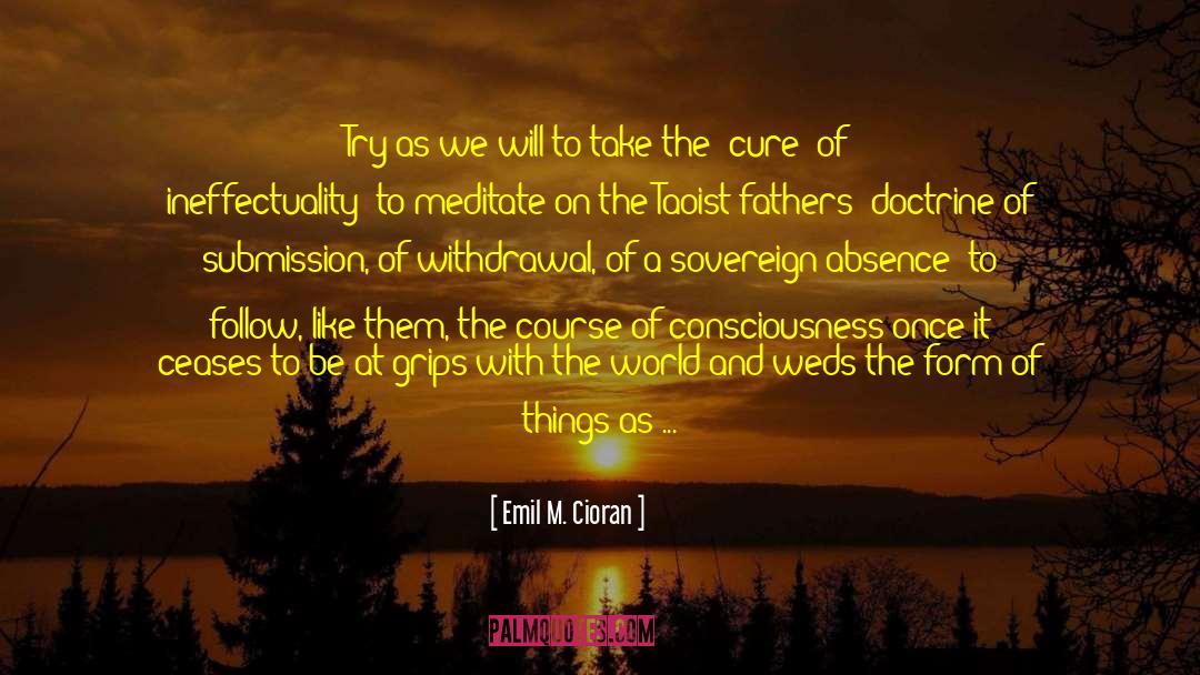 Sensible Thinking quotes by Emil M. Cioran
