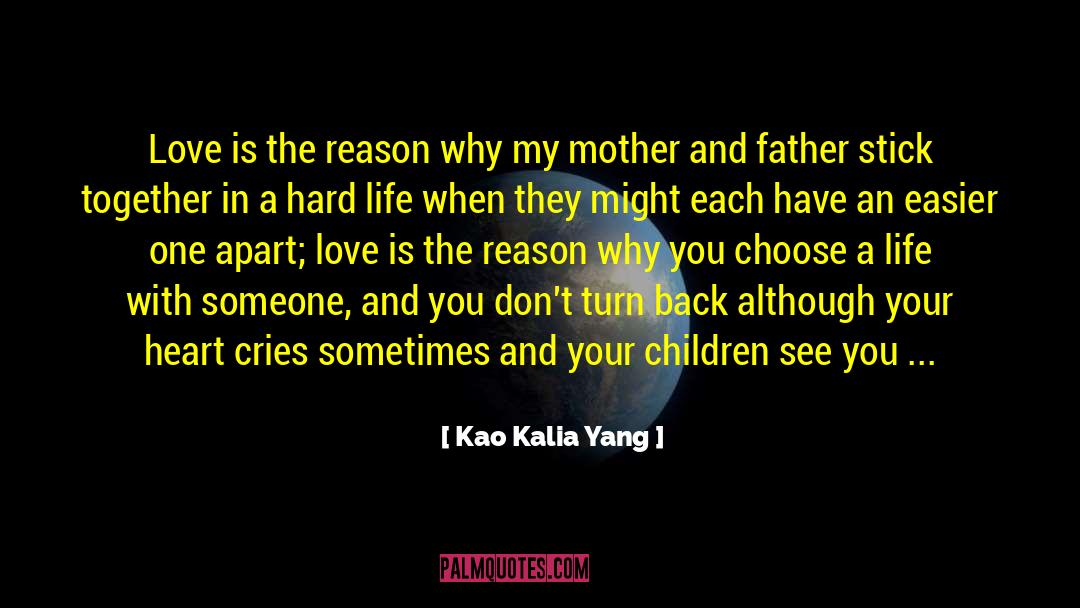 Sensitive Person quotes by Kao Kalia Yang
