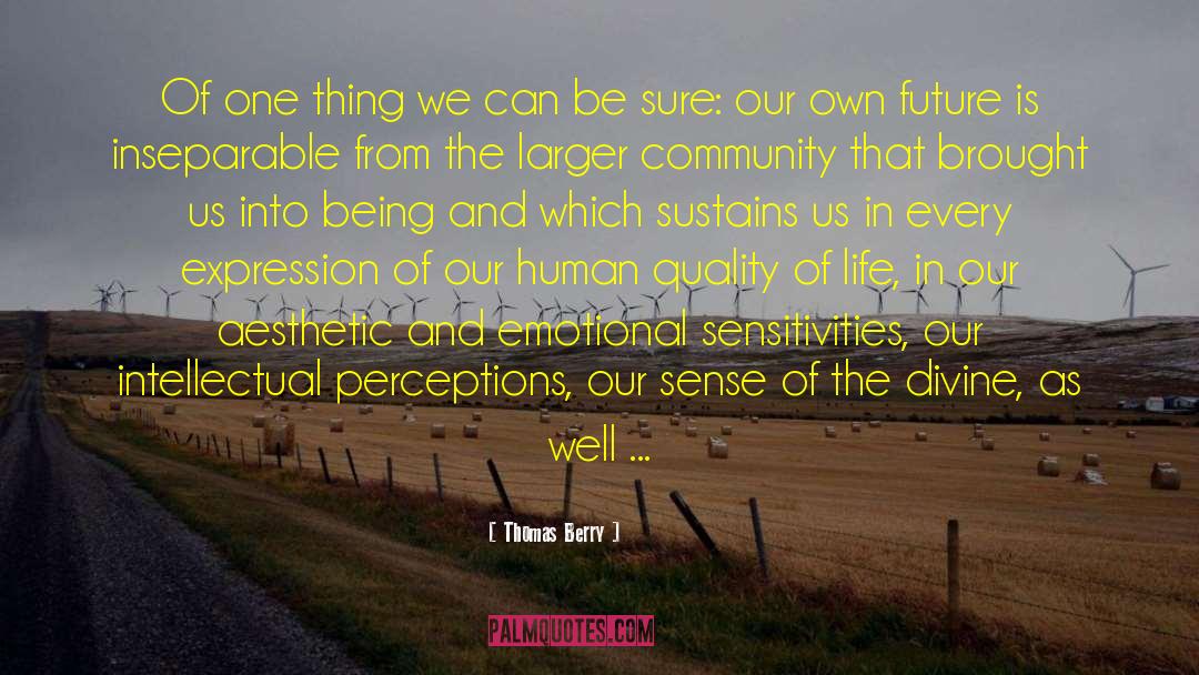 Sensitivities quotes by Thomas Berry