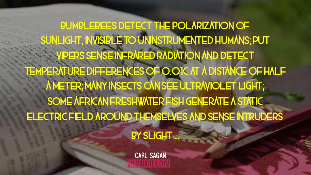 Sensors quotes by Carl Sagan