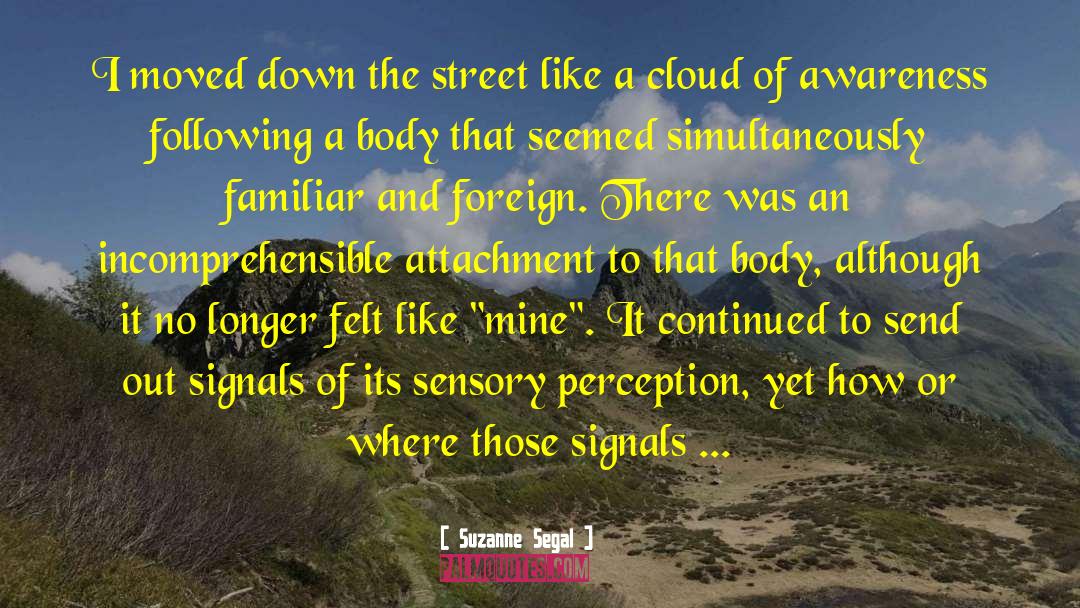Sensory Perception quotes by Suzanne Segal